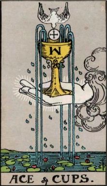 Ace of Cups tarot card