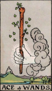 Ace of Wands artwork for symbolism reference