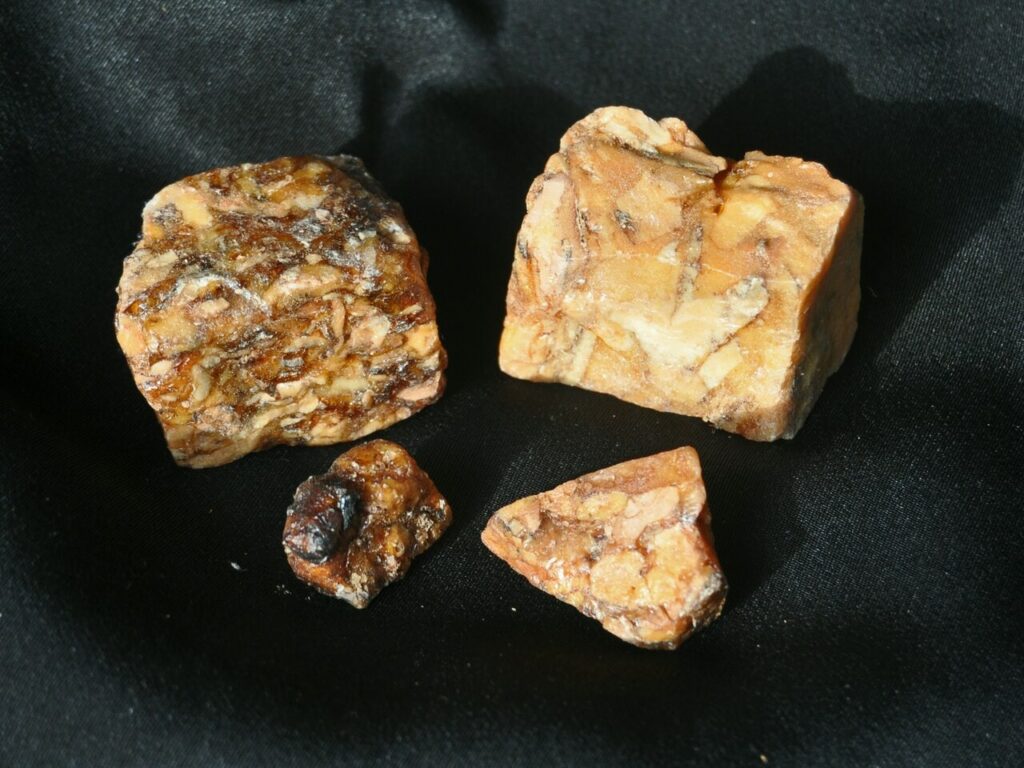 Reference photograph of Benzoin; the owner’s packet identity and grade are not confirmed.