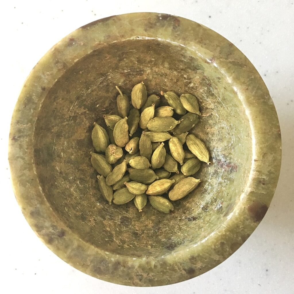 Green cardamom pods are an educational example; the owner’s cardamom type is unconfirmed.