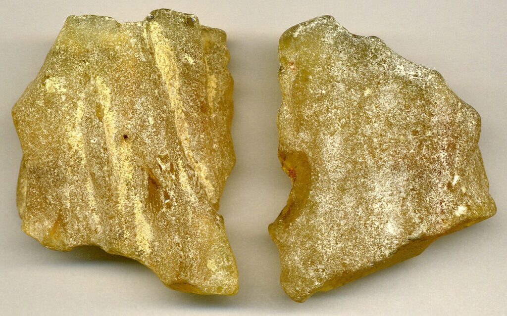 Raw copal reference specimens; botanical source and incense grade are not established for the owner’s material.