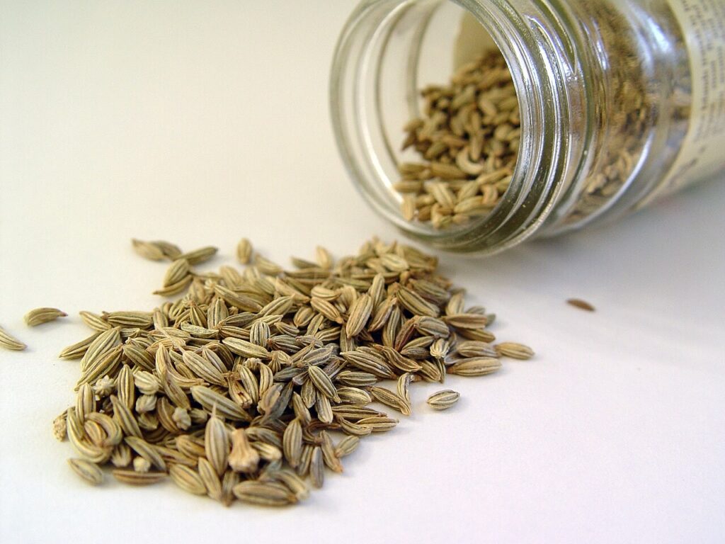Reference photograph of Fennel Seed; the owner’s packet identity and grade are not confirmed.