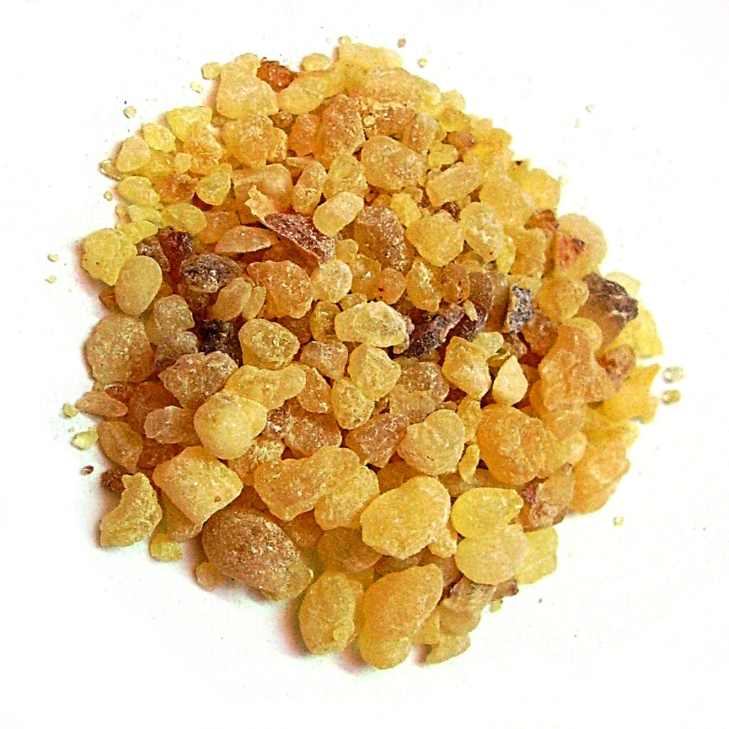 Reference photograph of Frankincense; packet identity is not confirmed.