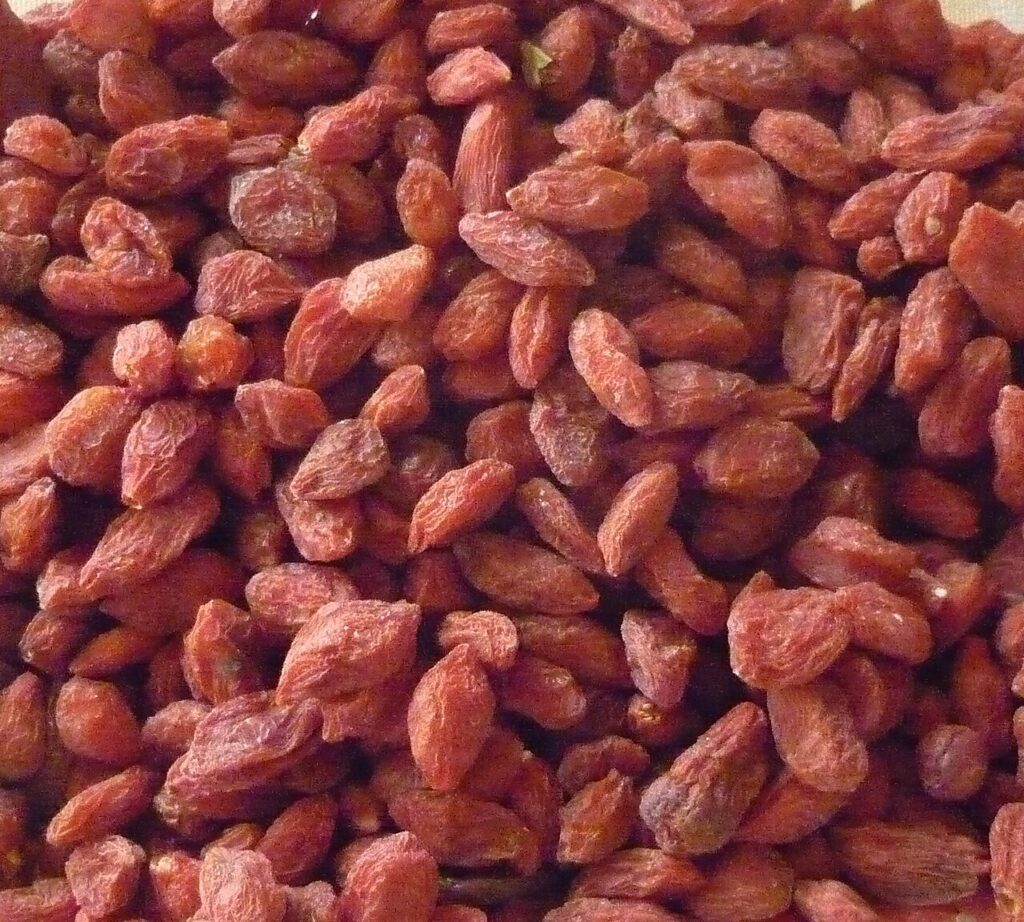 Reference photograph of Goji Berry; packet identity is not confirmed.