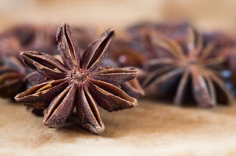 Reference photograph of Star Anise; packet identity is not confirmed.